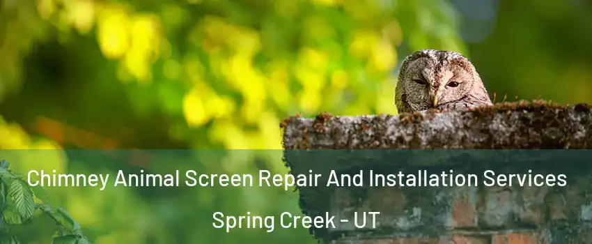 Chimney Animal Screen Repair And Installation Services Spring Creek - UT