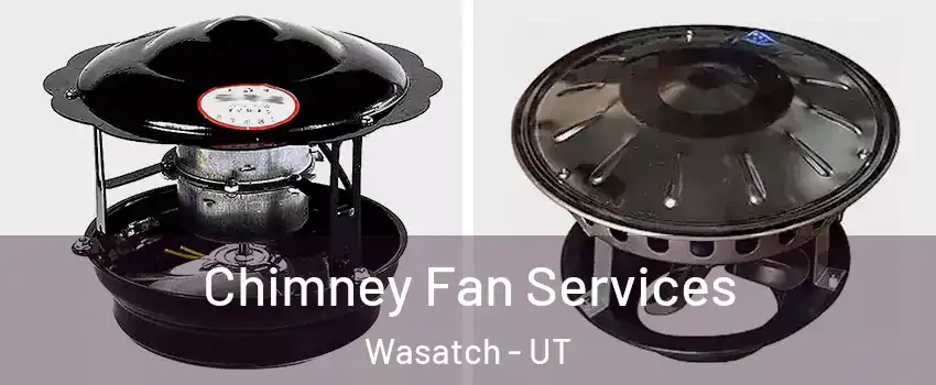 Chimney Fan Services Wasatch - UT