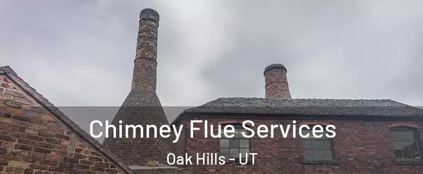 Chimney Flue Services Oak Hills - UT
