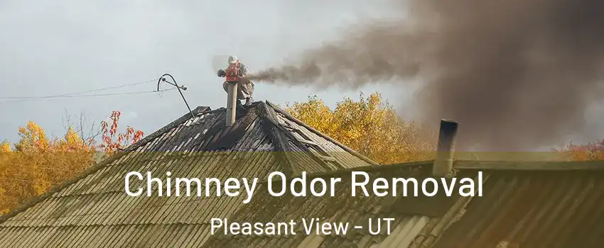 Chimney Odor Removal Pleasant View - UT