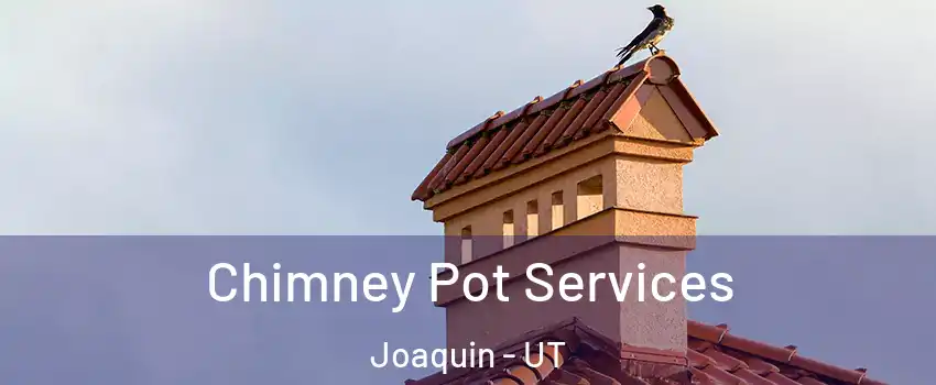Chimney Pot Services Joaquin - UT