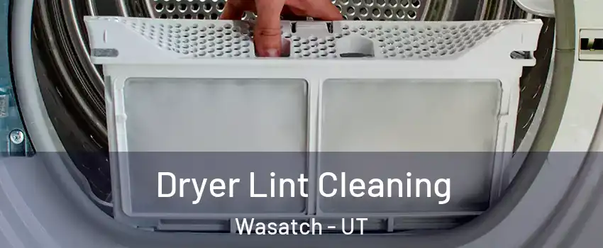 Dryer Lint Cleaning Wasatch - UT