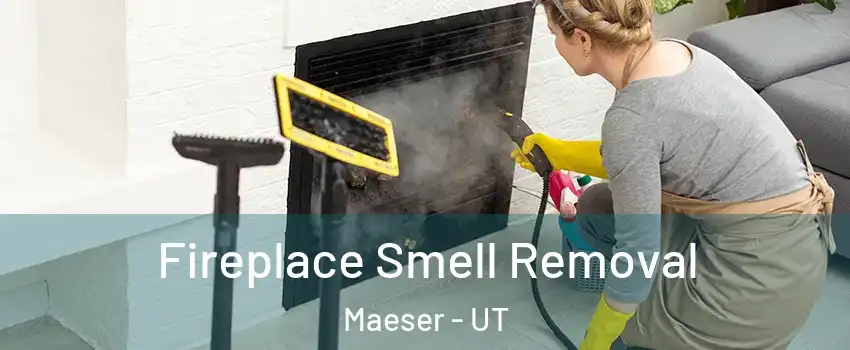Fireplace Smell Removal Maeser - UT