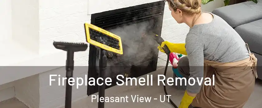 Fireplace Smell Removal Pleasant View - UT