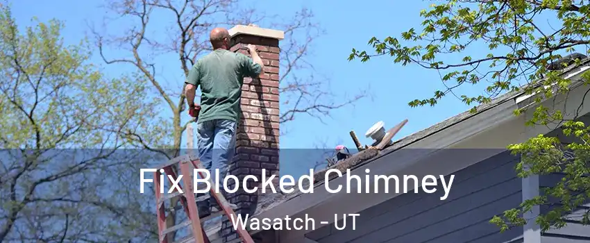 Fix Blocked Chimney Wasatch - UT