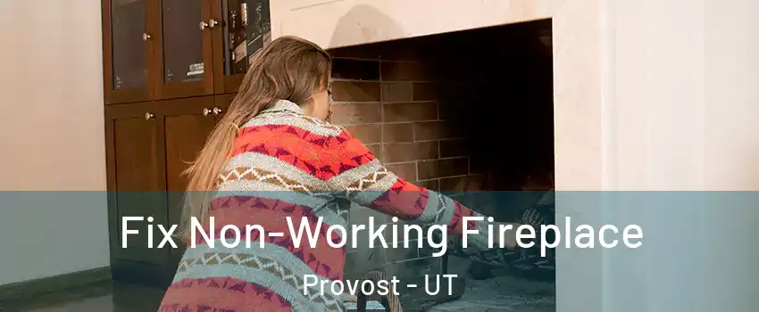 Fix Non-Working Fireplace Provost - UT