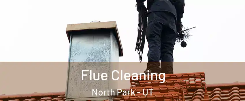 Flue Cleaning North Park - UT