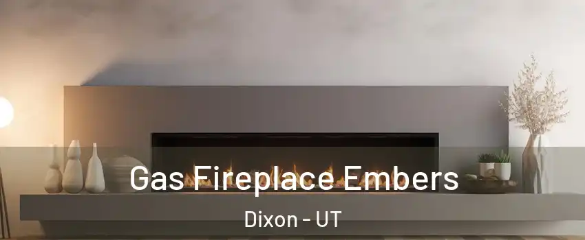 Gas Fireplace Embers Dixon - UT