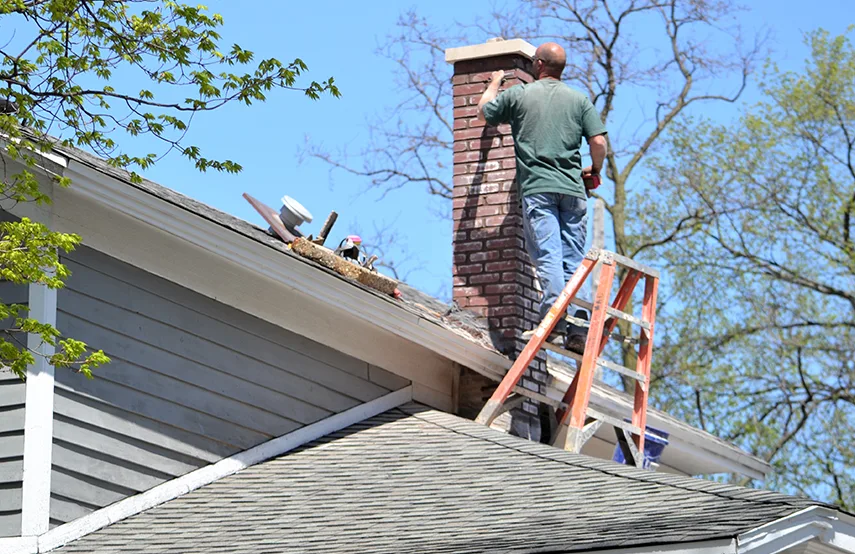 Chimney & Fireplace Inspections Services in Provo, UT