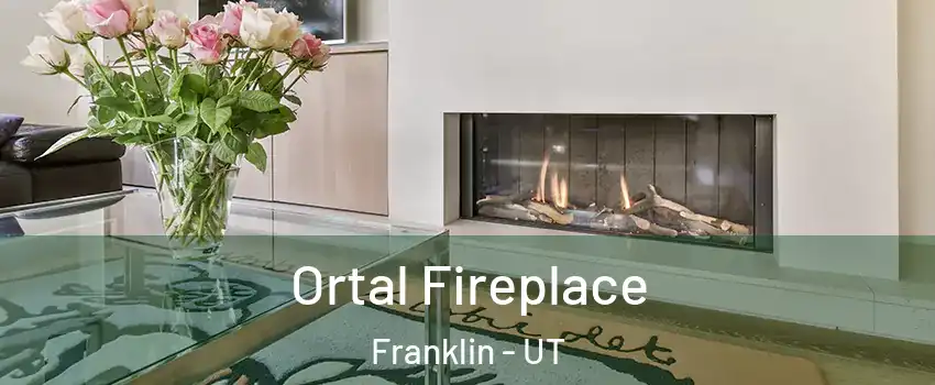 Ortal Fireplace Franklin - UT