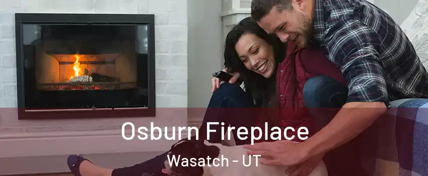 Osburn Fireplace Wasatch - UT