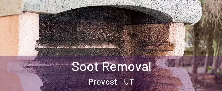 Soot Removal Provost - UT